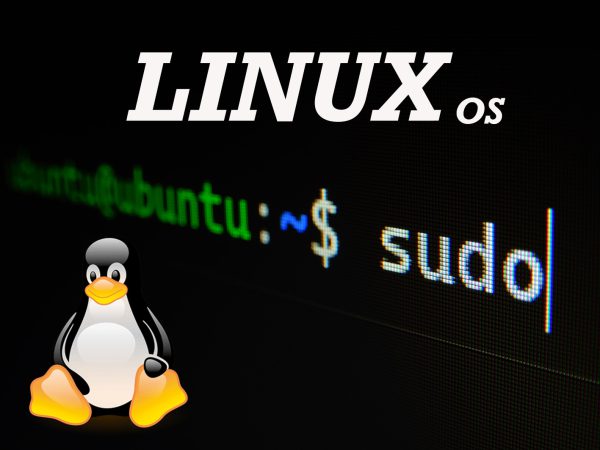 Linux: l’alternativa economica ai sistemi operativi proprietari